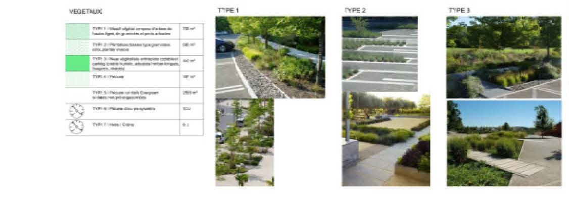 02 projet ABORDS DU LAC MESNIL ST PERE